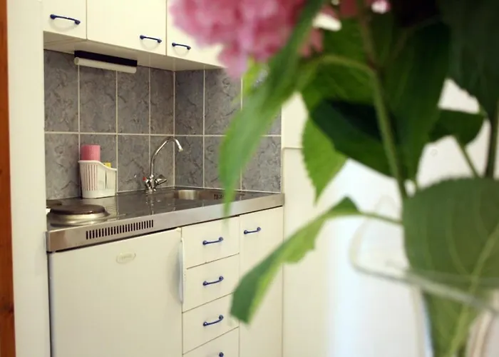 Apartamento In With Sea View, Balcony, Air Conditioning, Wifi 612-1 Vodice